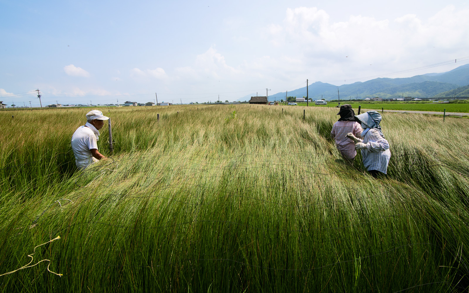 手作業網かけPHOTO